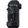 Picture of Canon EOS 1DX Mark II DSLR Camera 