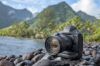 Picture of Canon EOS 1DX Mark III DSLR Camera 