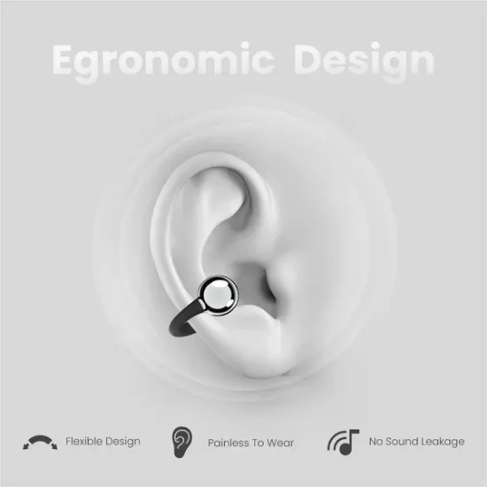Picture of HiFuture FlexClip Black TWS EARBUDS